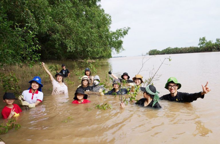 SUNUNI ACADEMY THAM GIA TRỒNG 700 CÂY XANH THÔNG QUA DỰ ÁN BLOCKTREE